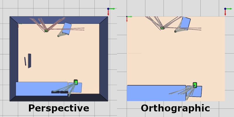 HemoSpat 3D Viewer - Perspective vs. Orthographic
